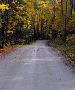 Fall scene with road and trees