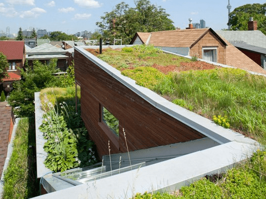 Green Home with plants as a living roof
